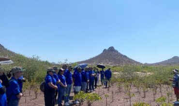 CAMPAÑA DE REFORESTACIÓN PLANTEMOS UN MANGLAR